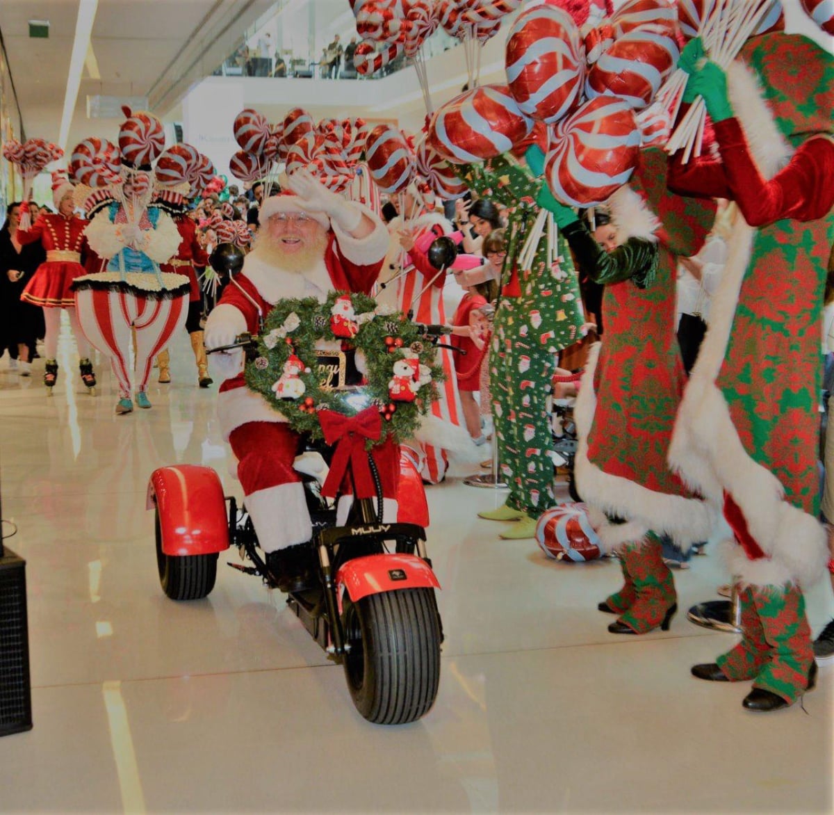 Mobirise Website Builder